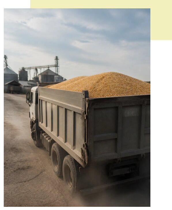 Перевозка сельхозпродукции навалом в Калининград по цене от 3035 р. | Агросервис-Клн