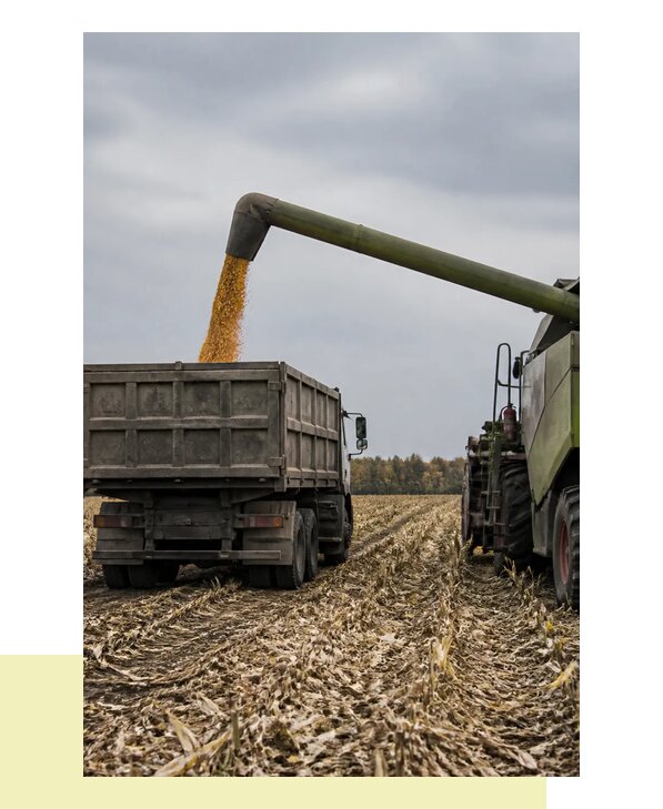 Перевозка урожая с поля в Калининград с доставкой точно в срок